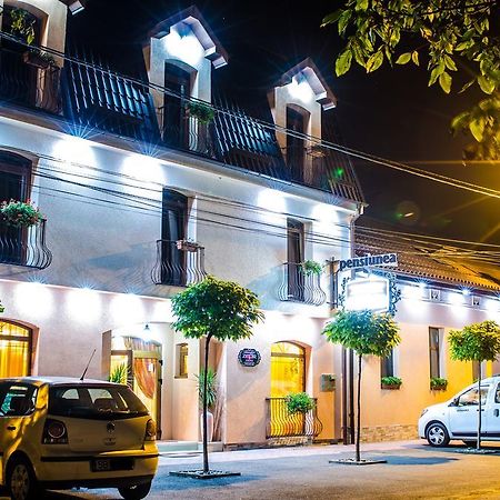 Hotel-Pensiunea Zefir Timisoara Exterior photo